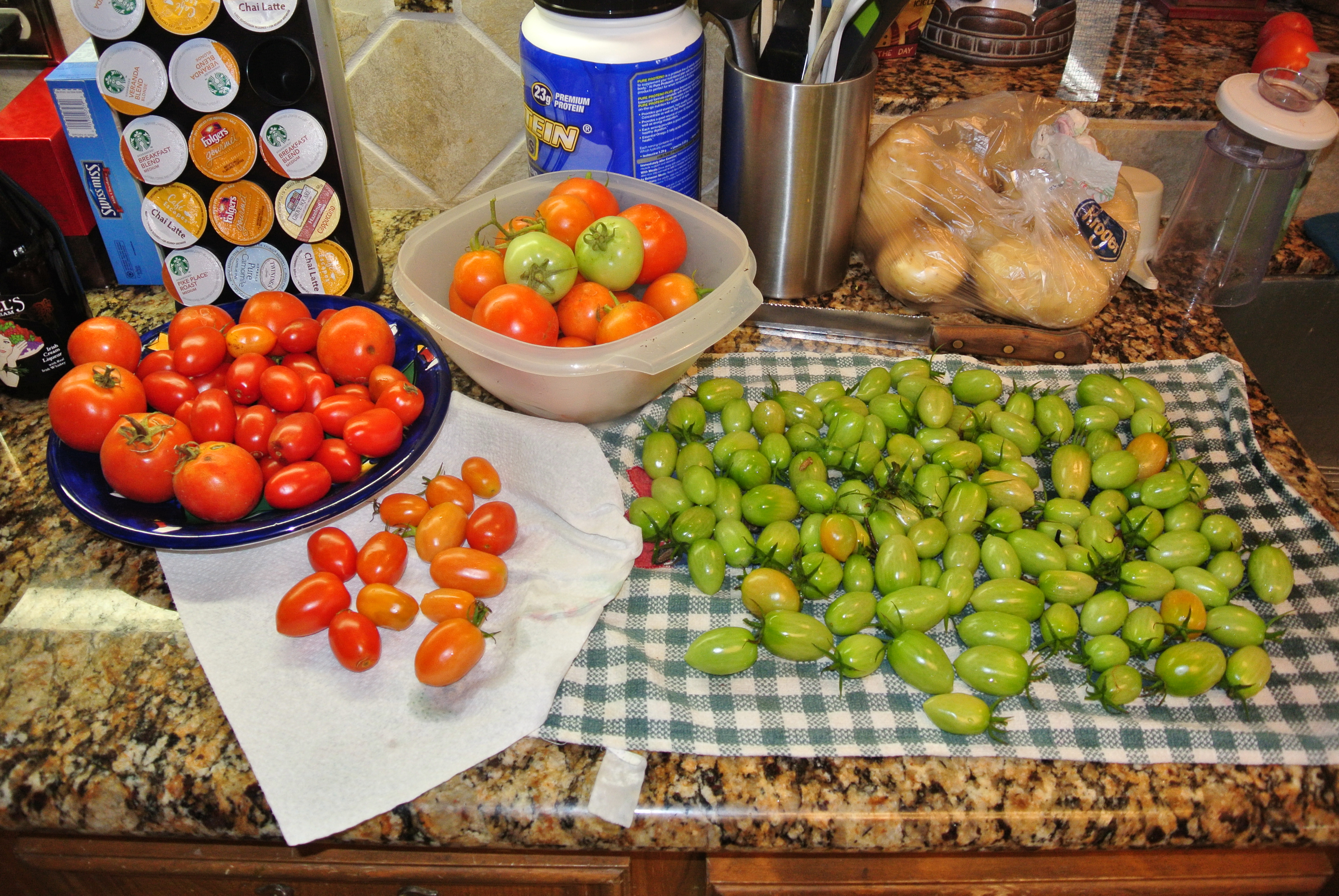 The tomatoes rescued and brought in on Christmas Day. Hope to ripen the green ones