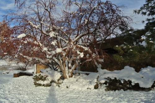 Me and my shadow on the snow.