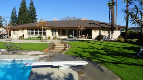 Near the back of the yard looking toward the house.
