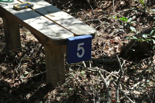 the 5 mile bench where we ate our sandwiches Halfway through the loop.