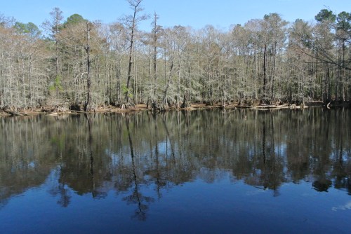 A wide angle look across the lake from the fishing dock.