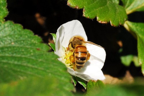 Do your magic little guy!