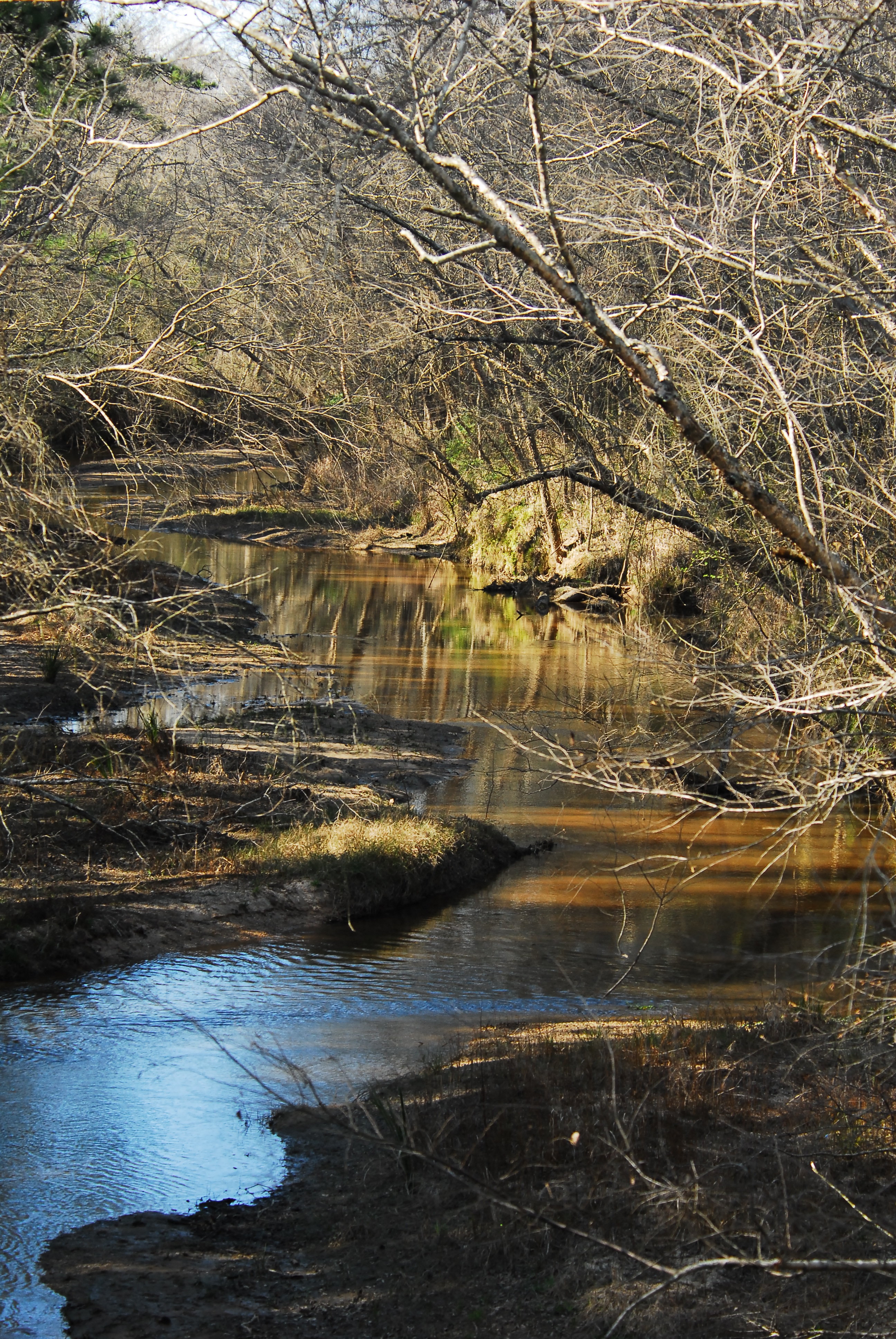 A view along Peach Creek