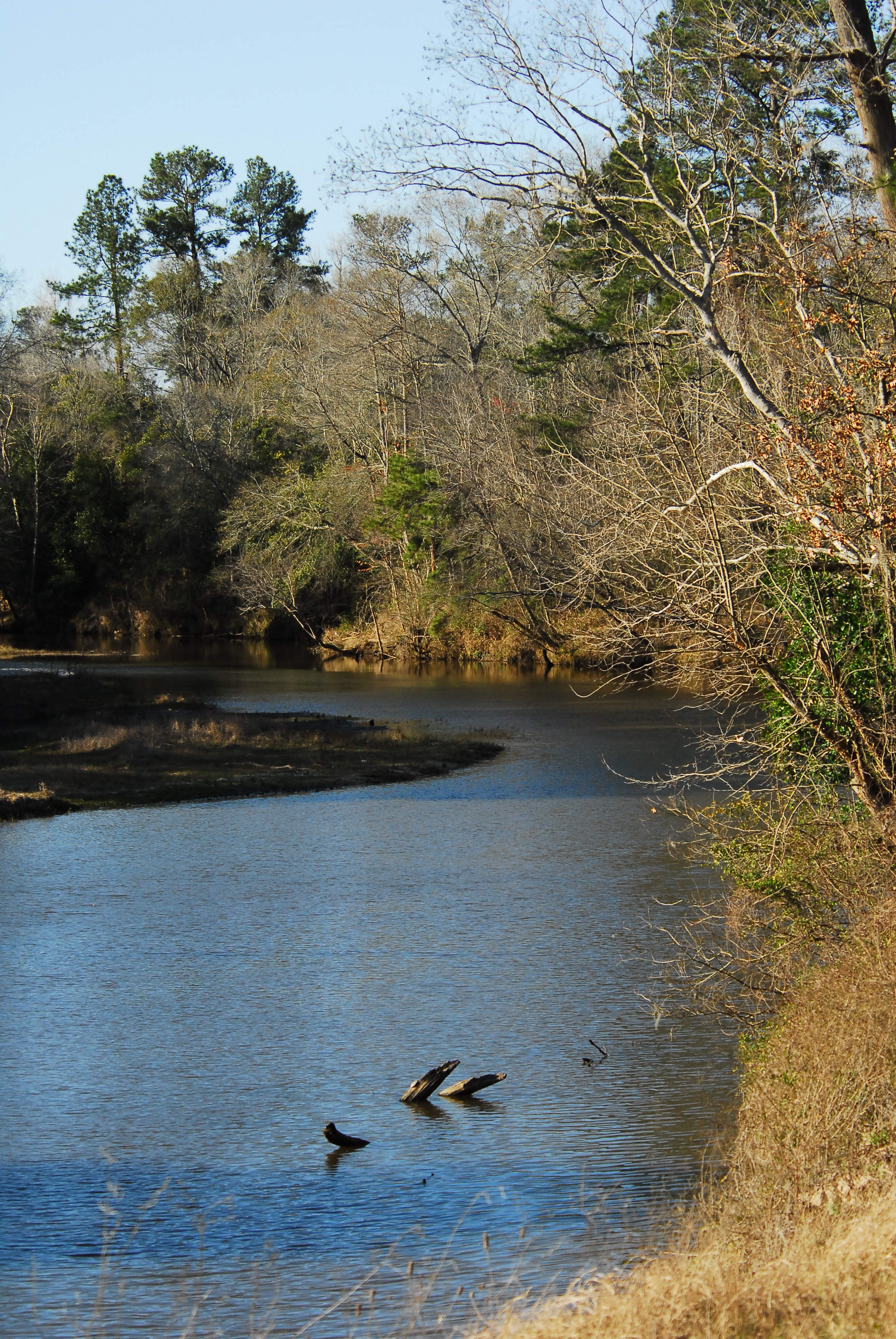Beautiful Peach Creek adjacent to the trail