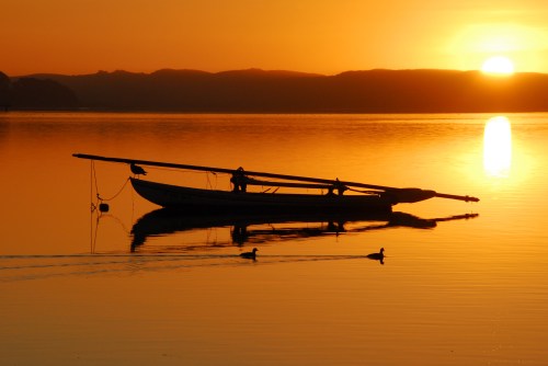 Sunset and wildlife.