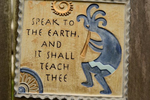 Gardening gift from my wife.....I am always in the learning mode!