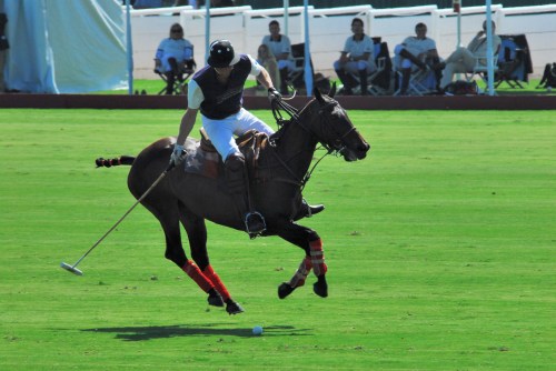 Prince William galloping across the verdant grass on his way to scoring a goal in the 2011 match in Santa Barbara.