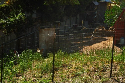 Look closely and you can see a few of the girls.