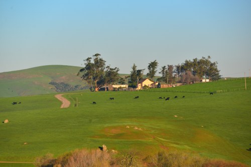 Not far off Highway 101 along Highway 46 is this ranch house.