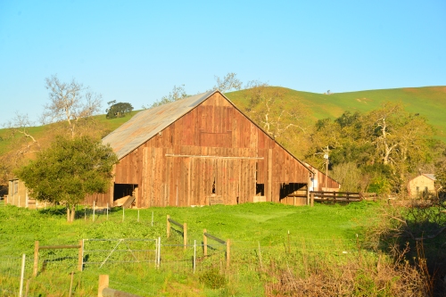 A rustic barn along the Highway.