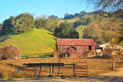 On the western slope heading into Paso Robles was a tidy barn near a ranch house.
