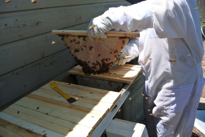 Getting ready to cut them lose.