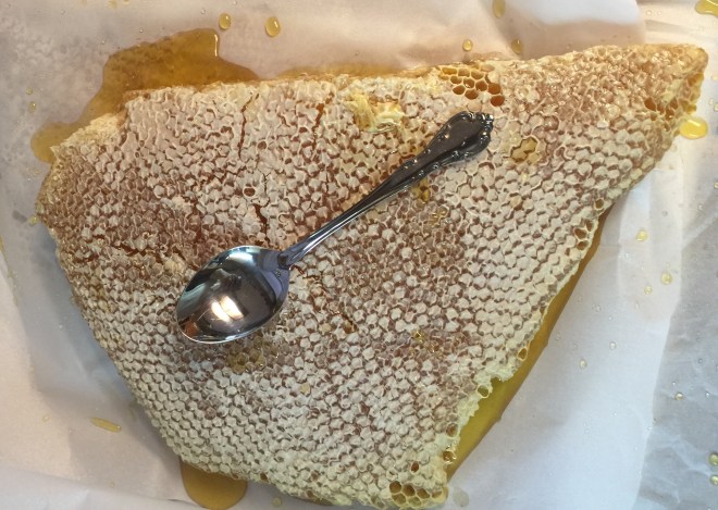 This will give you an idea how big the slabs of comb are. This one had an ear on the left hand side broke off.