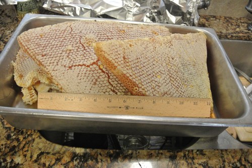 A nice pan full of lovely honey comb. It was a heavy haul.