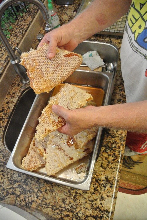 Temptation....I was behaving but my wife and photographer snatched a few chunks of the delectable honeycomb for her snack.  One of our customers refers to the cut honeycomb as addictive.....It really is better than candy!