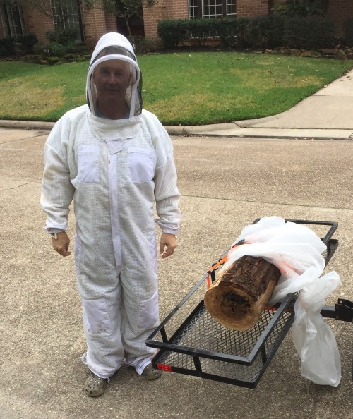 Suited up - the end of the section is open to the colony. Bees were buzzing before I secured the end. Suit is in the wash.....again