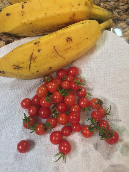 Cherry tomatoes and a few ripened bananas. Time to cut a few more! Very sweet and very tiny. 