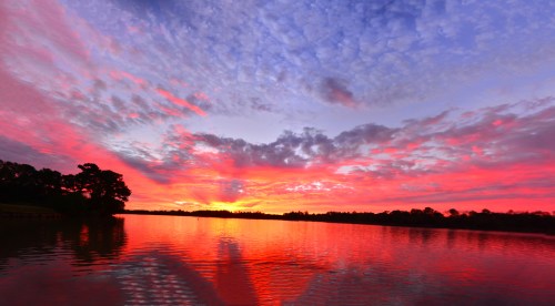 Small resized image of  a stitched together image of  several photos.