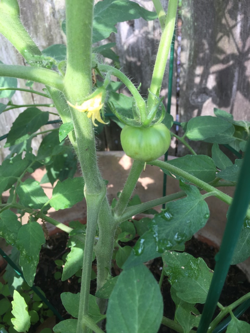 Celebrity thumbnail_IMG_2996