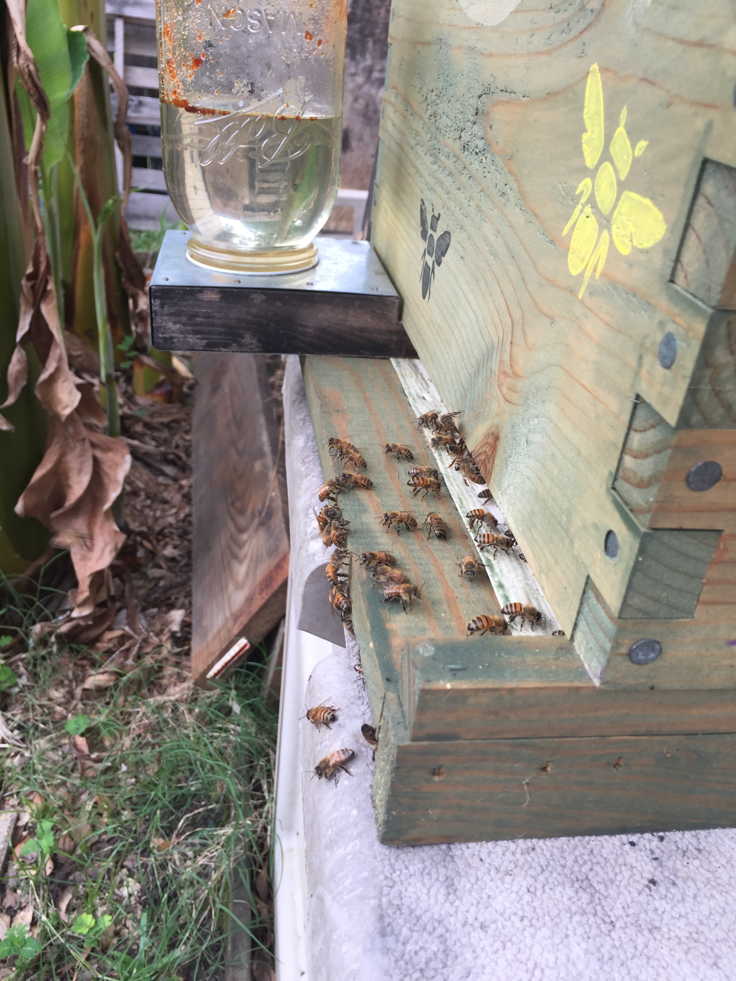 File Jul 24, 9 03 50 PM